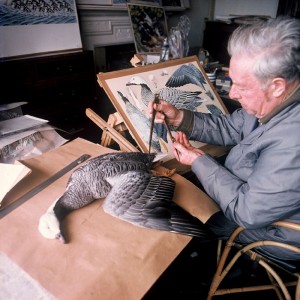 Charles Tunnicliffe in the studio