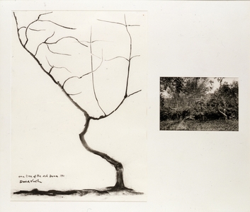 BCO_BCO_P5577-001