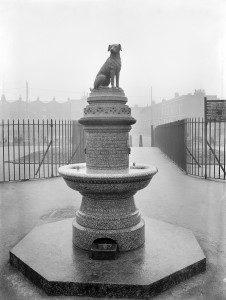 Brown Dog Memorial and Fountain