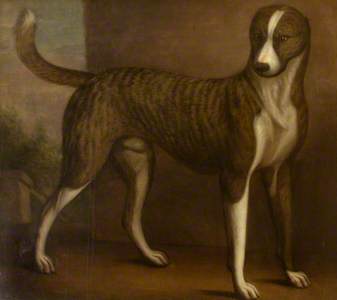 Lord Windsor’s Dog, Banquo