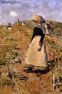 Berwickshire Field-workers