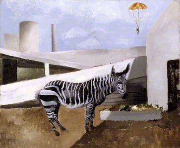 Zebra and Parachute