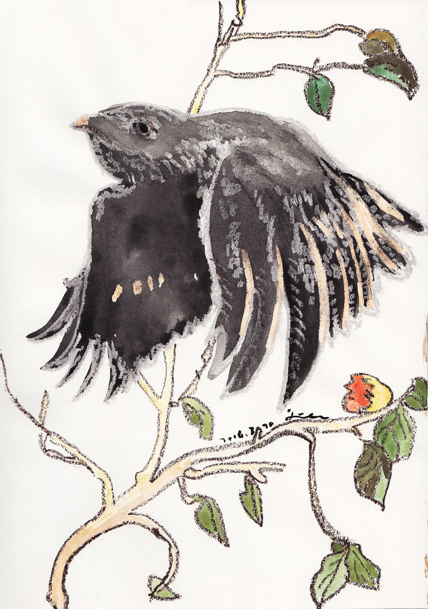 Crow