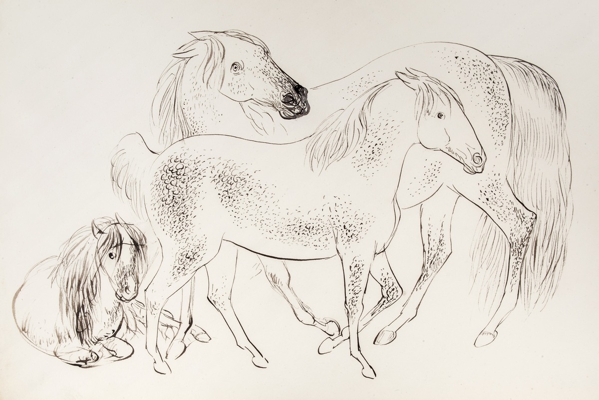 A group of three horses