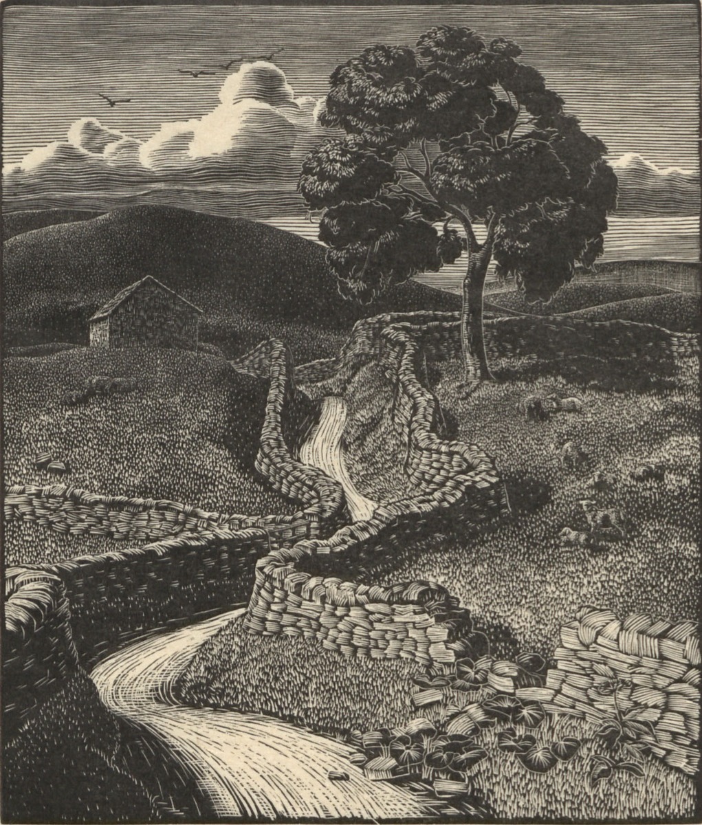 The Broken Wall