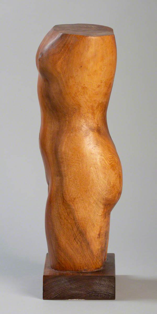 Female Torso