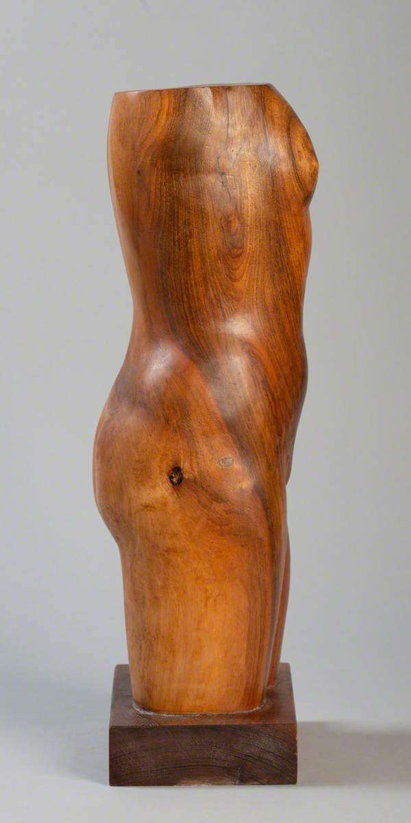 Female Torso