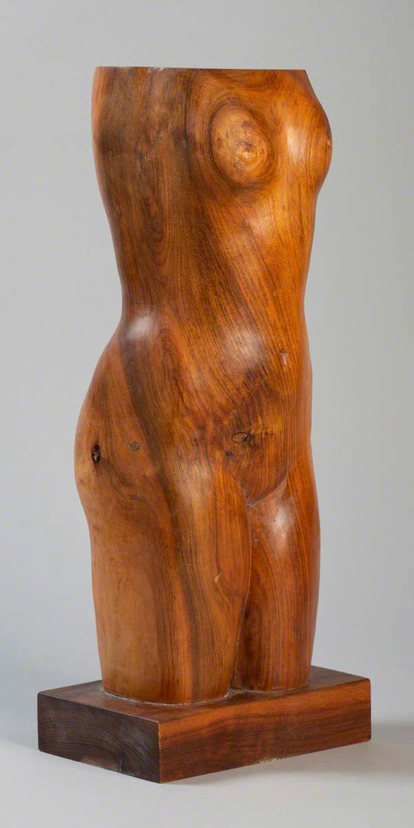 Female Torso