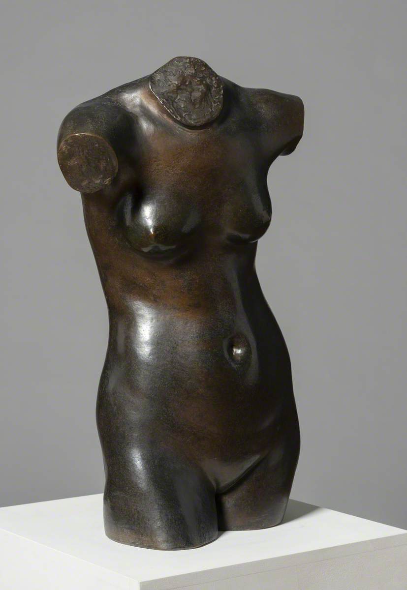 Female Torso