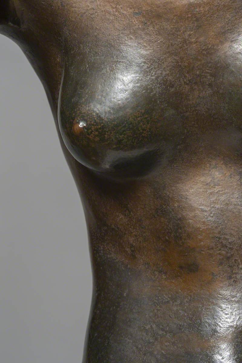 Female Torso