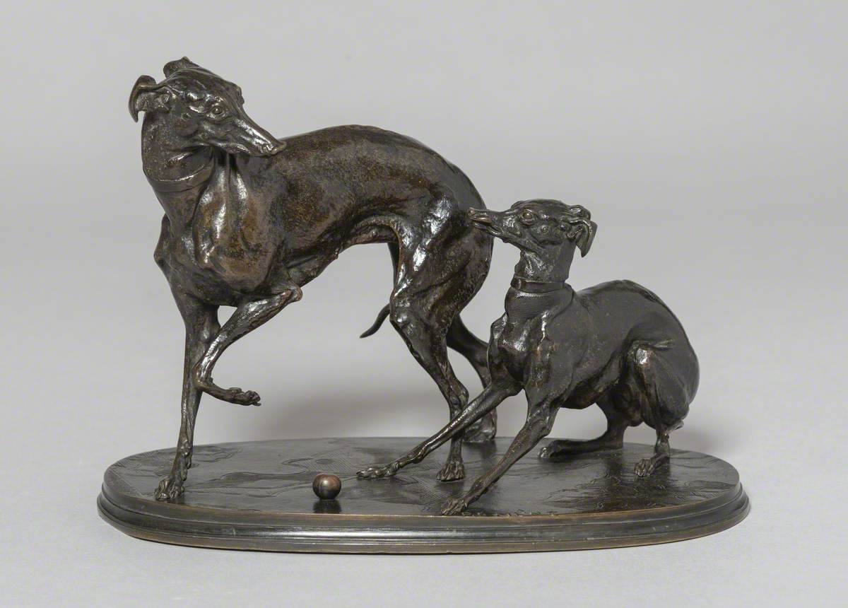 Group of Two Greyhounds Playing with a Ball