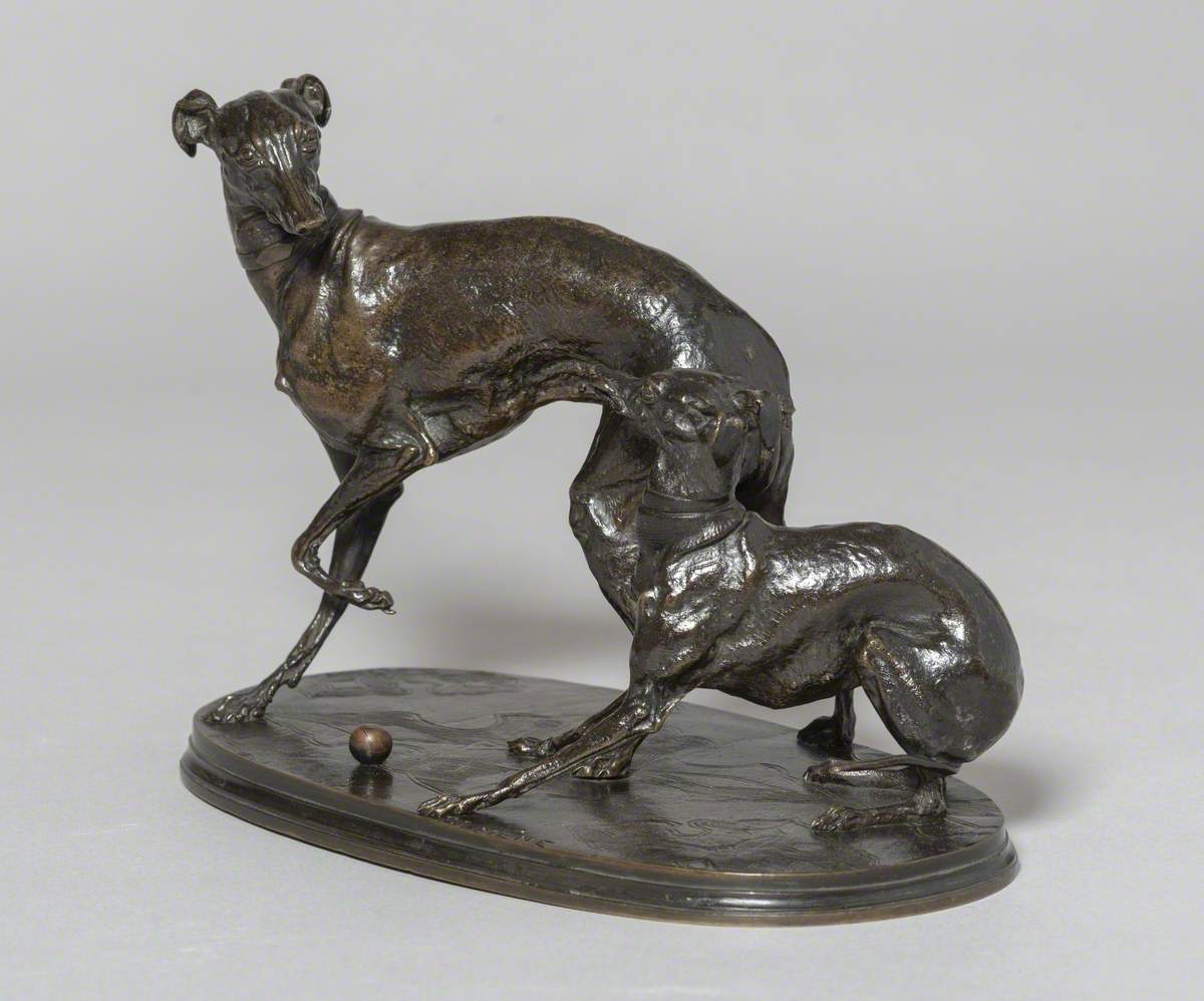 Group of Two Greyhounds Playing with a Ball
