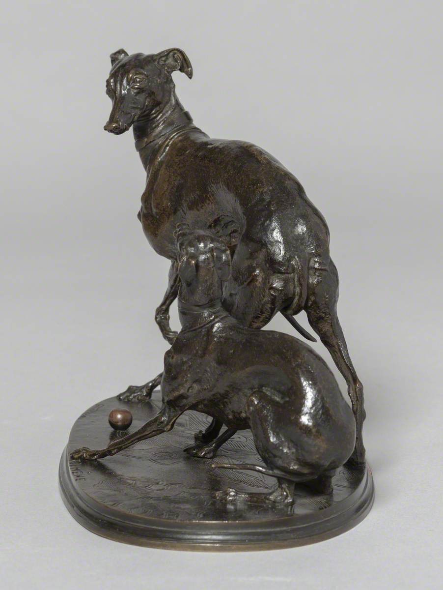 Group of Two Greyhounds Playing with a Ball