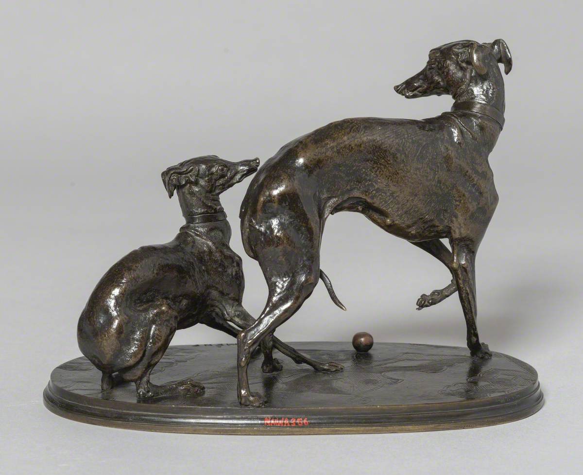Group of Two Greyhounds Playing with a Ball