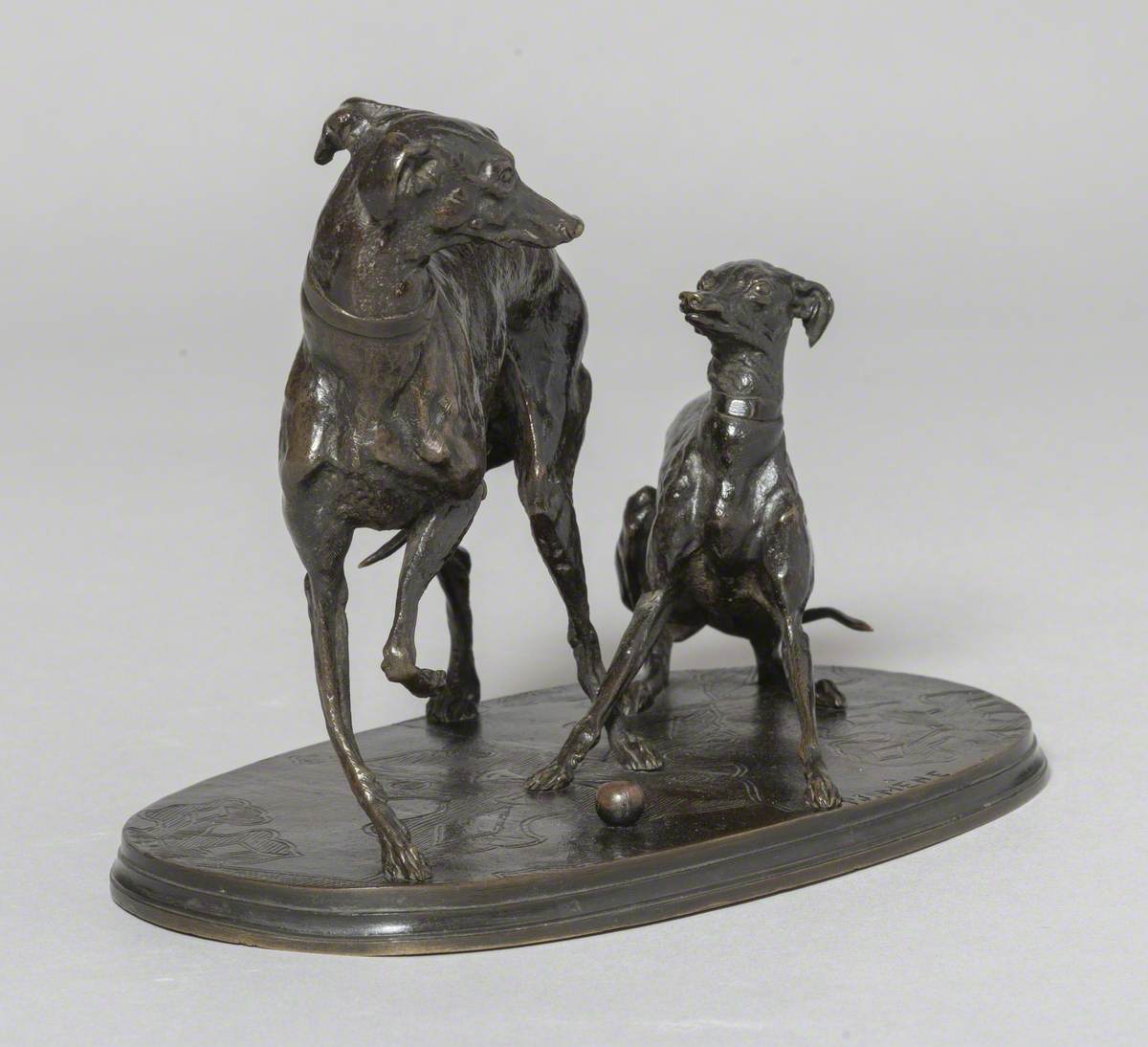 Group of Two Greyhounds Playing with a Ball
