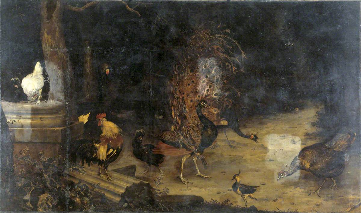 Peacock and Cranes in a Wood