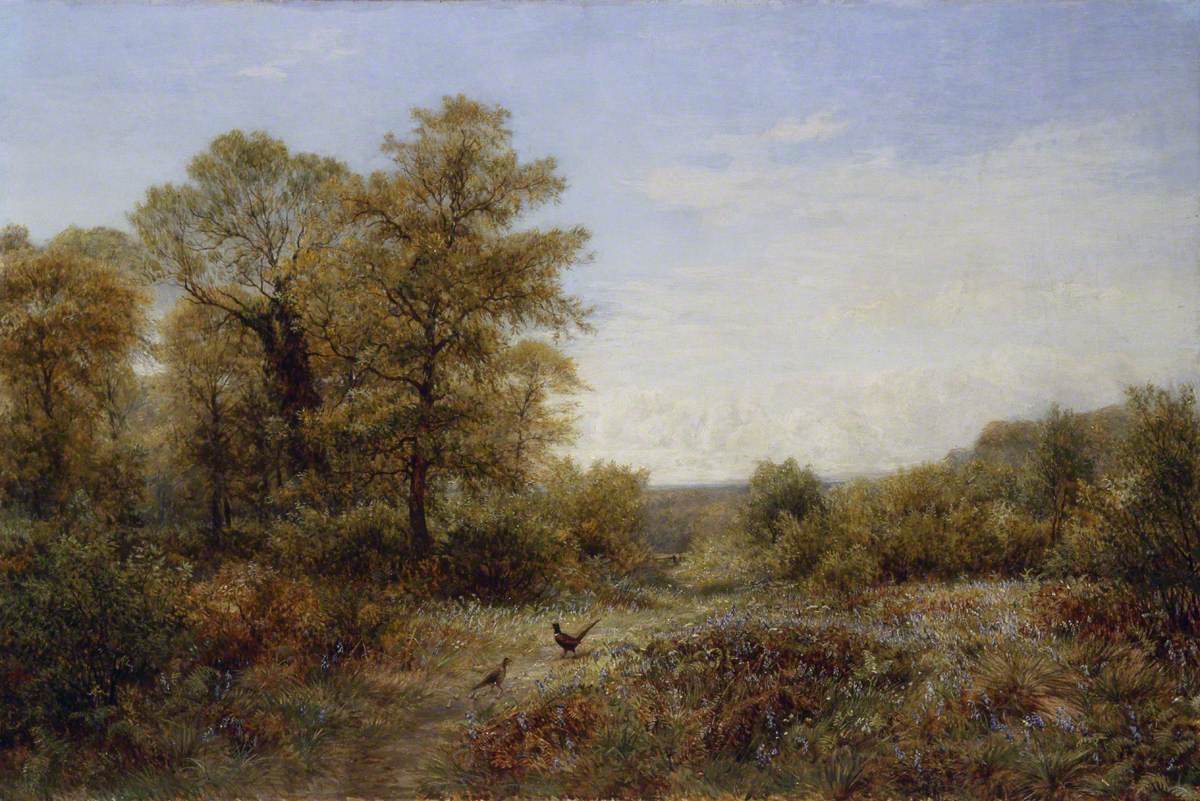 The Pheasant's Home