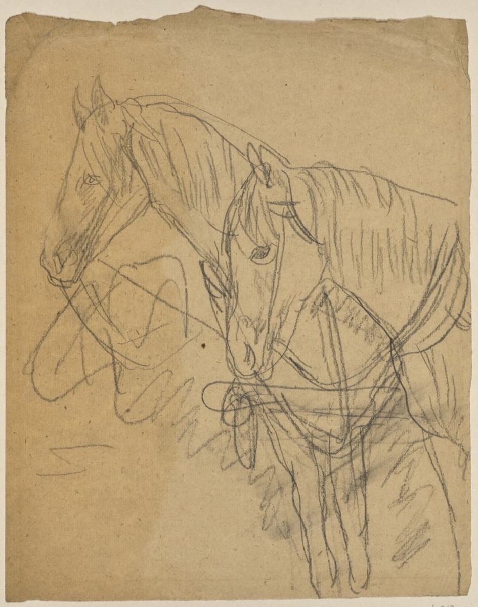 Horses in harness