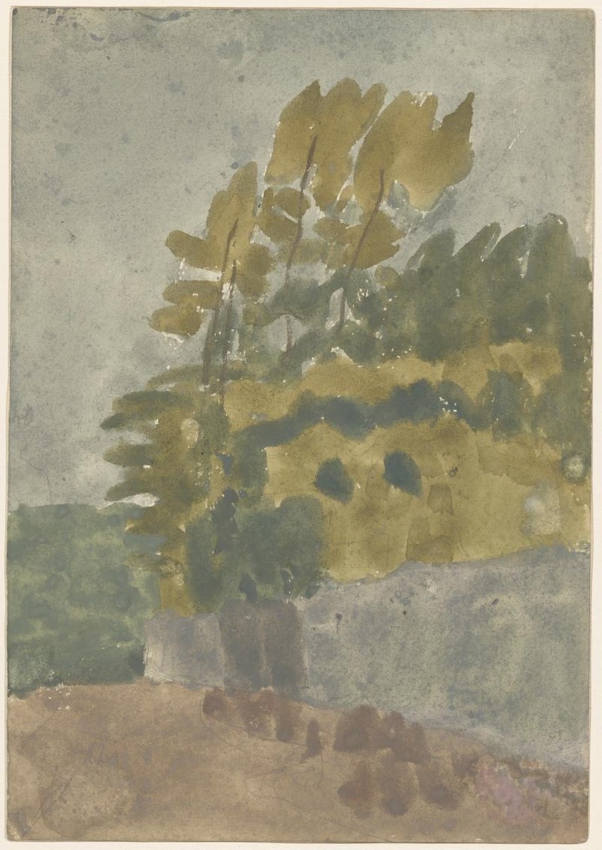 Trees