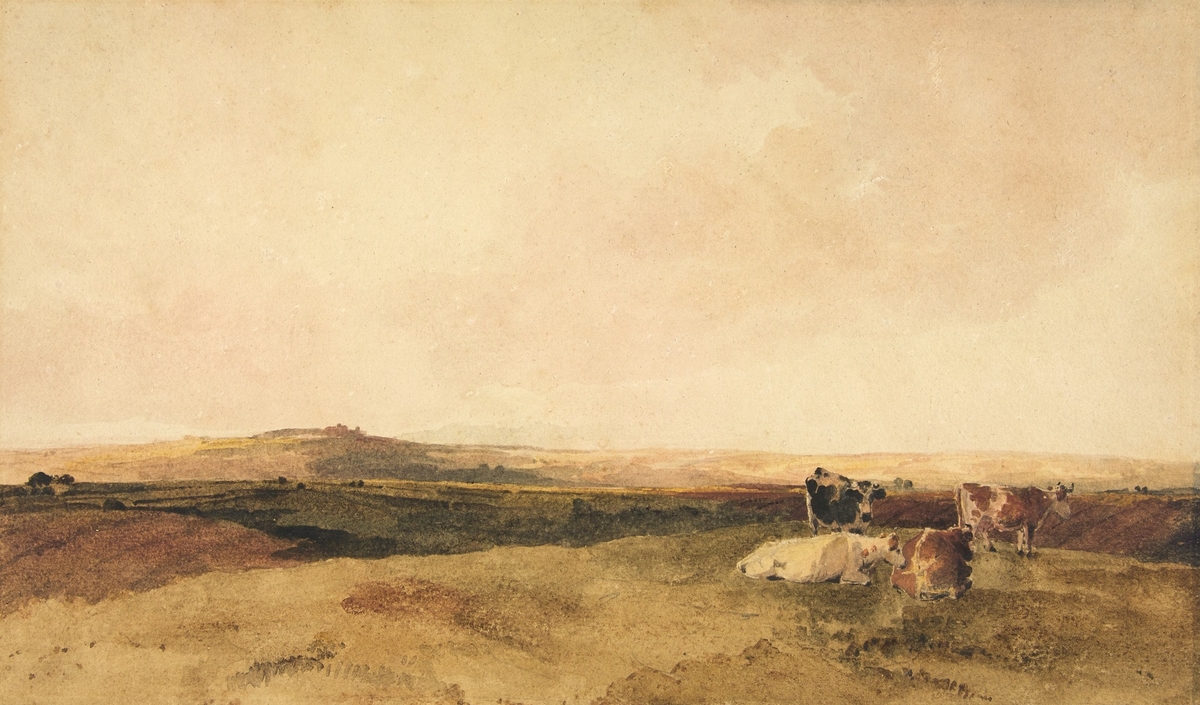 Cattle in a Rolling Landscape