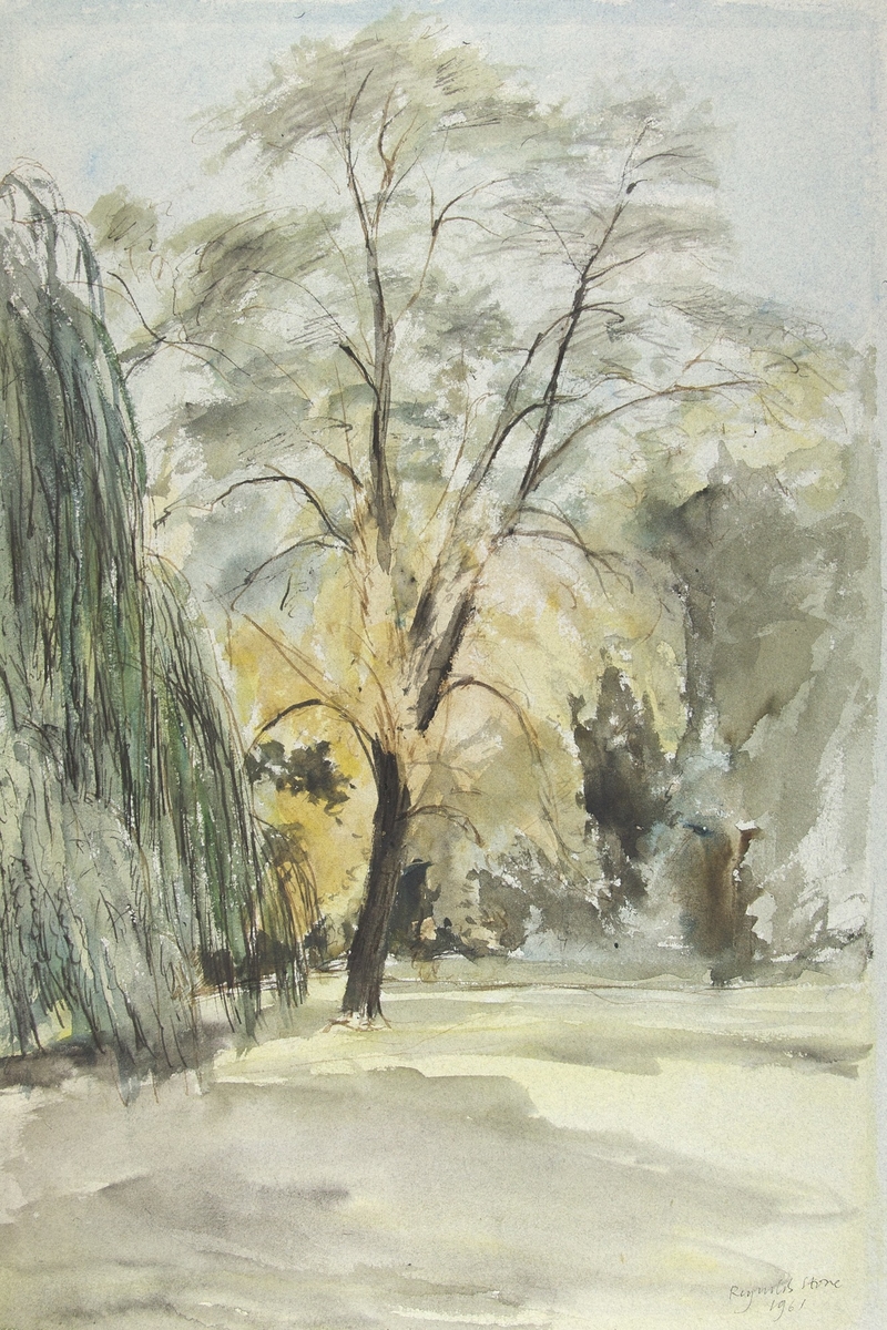 Study of a Tree