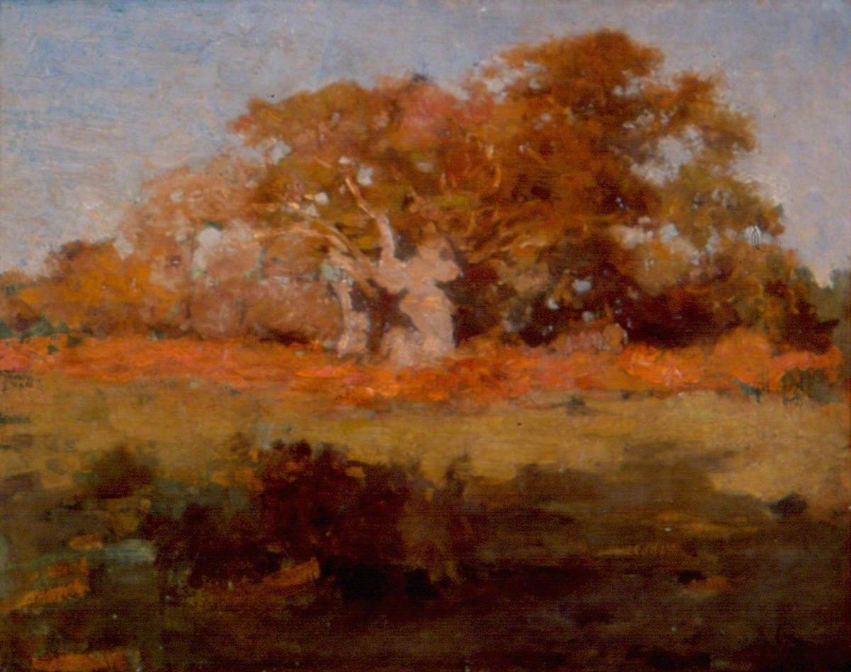Autumn Trees