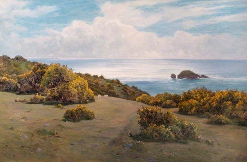 Baggy Point, Devon (Landscape, Sark)