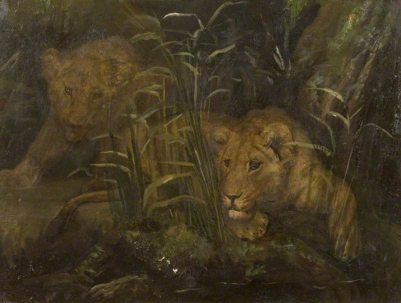 Two Lions at a Pool