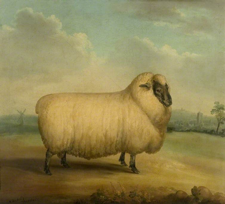 Oxford Down Ram in a Landscape