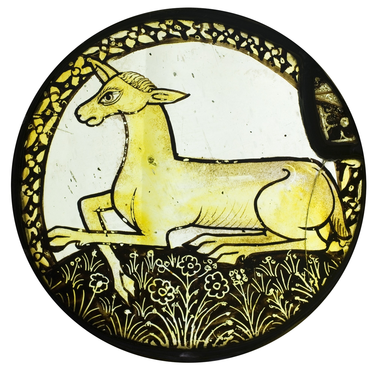 The Hind
