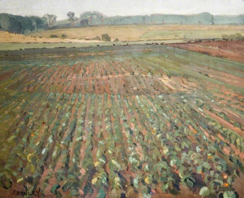 A Field of Swedes