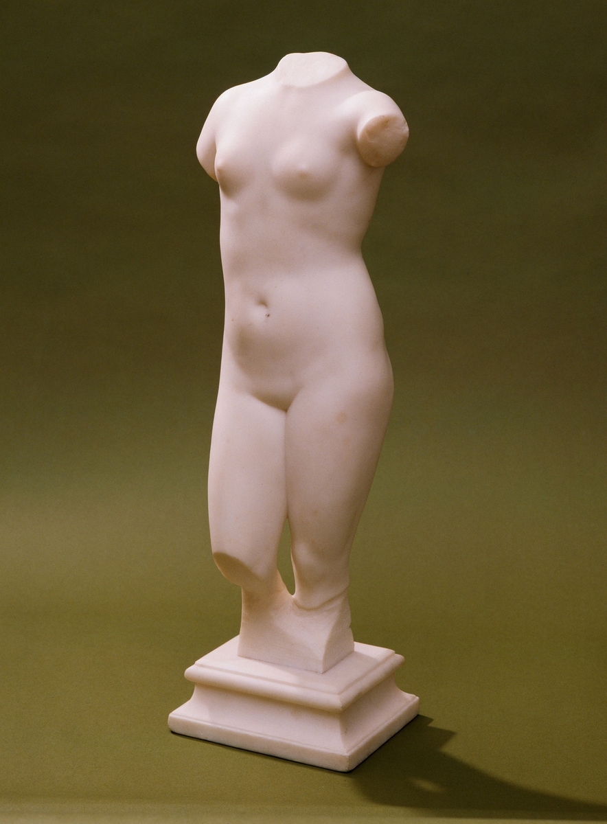 Female Nude Torso
