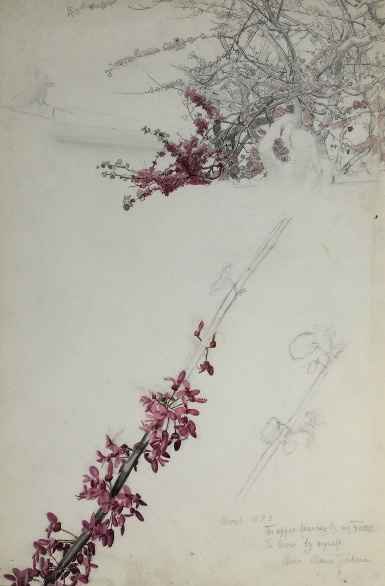 Blossom Branches