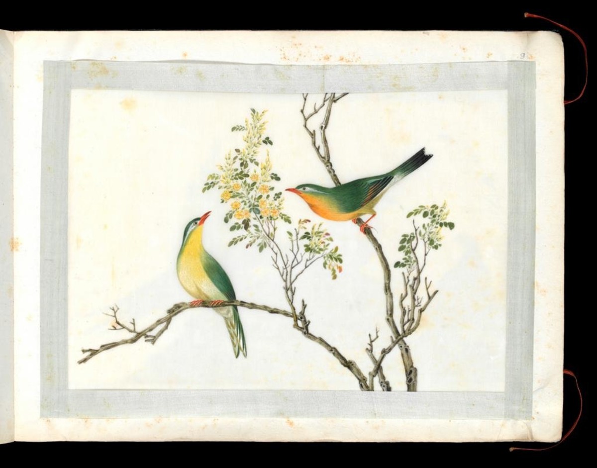 Two birds