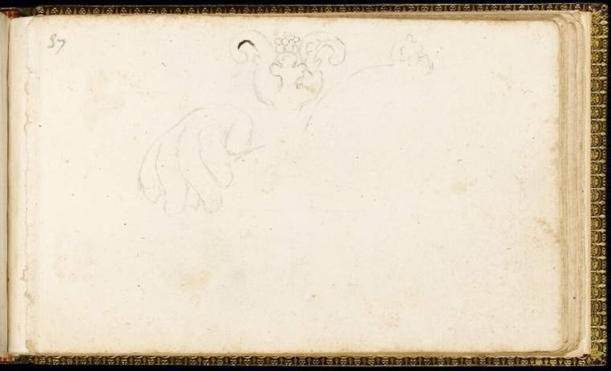 Studies of an ornamental design and a right hand