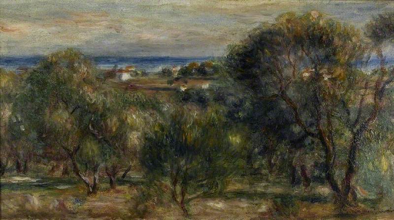 Olive Trees, Cagnes