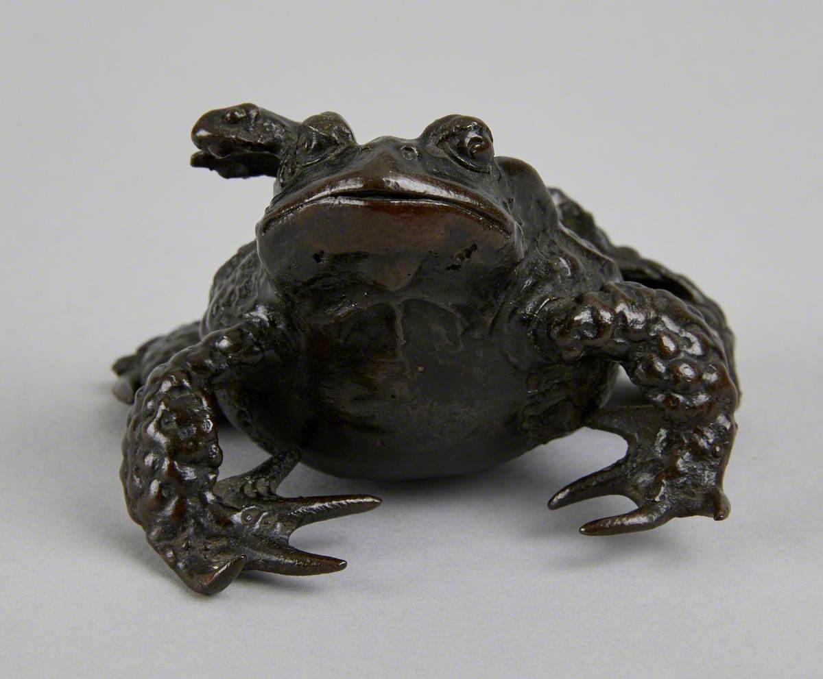 Toad