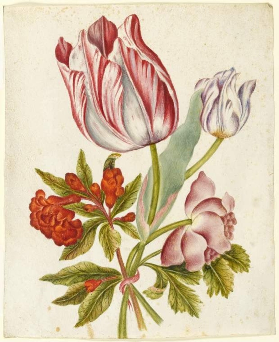 Three different flowers on their stems and tied with a ribbon