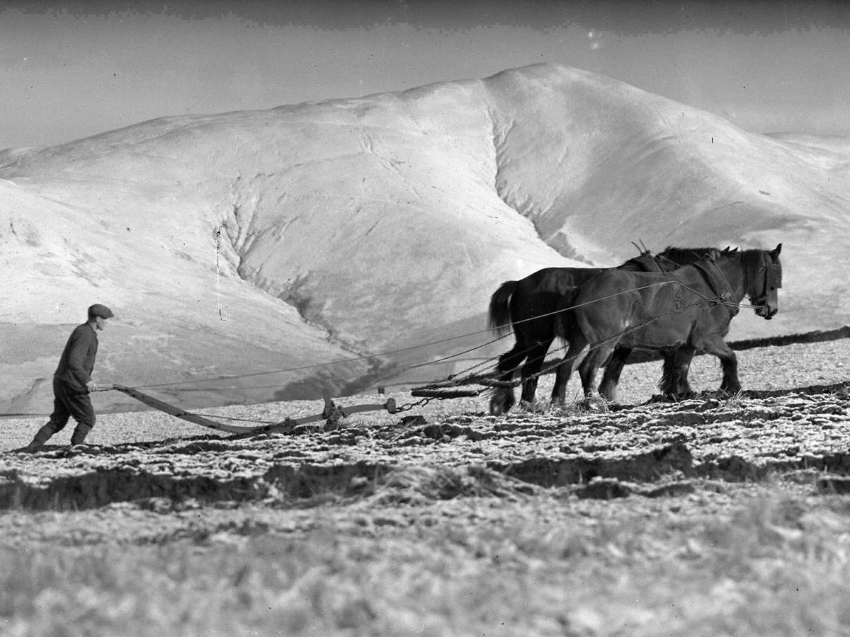 Horse Ploughing, under Skiddaw