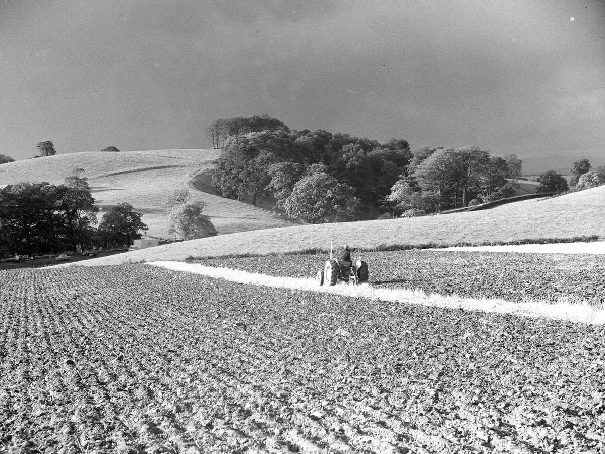 Tractor Ploughing at Ashness Farm