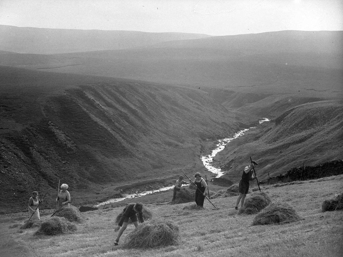 Haymaking in Swaledale | Art UK