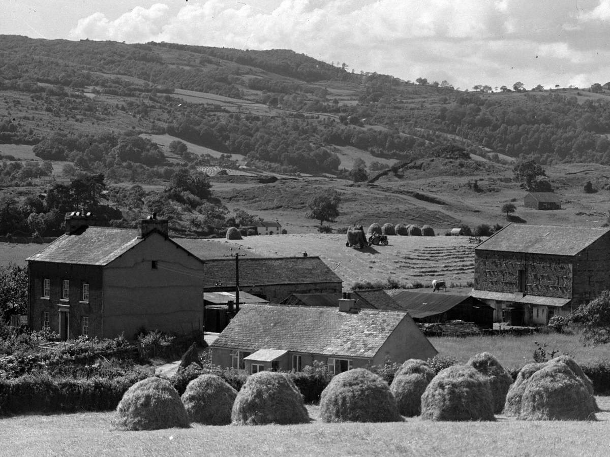 Haycocks and Farm