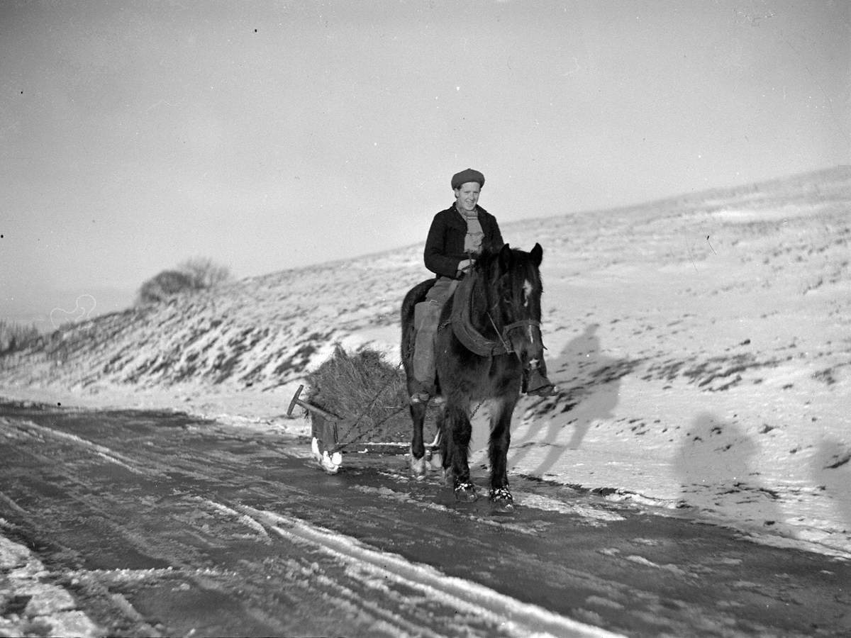 Carting Hay on Sledge