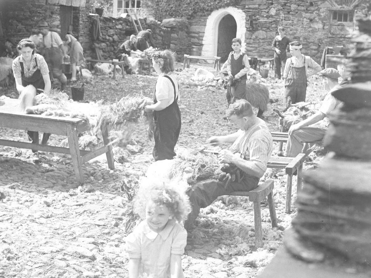 Shearing