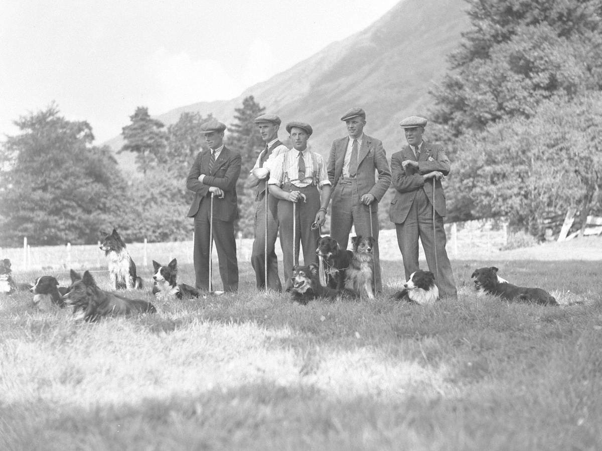 Men and Dogs at Sheep Dog Trials