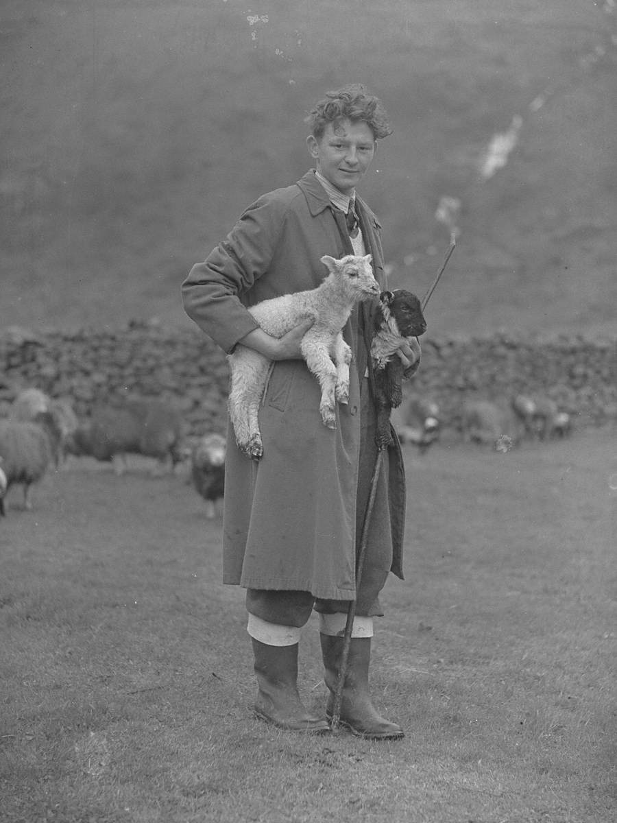 Shepherd with Two Lambs