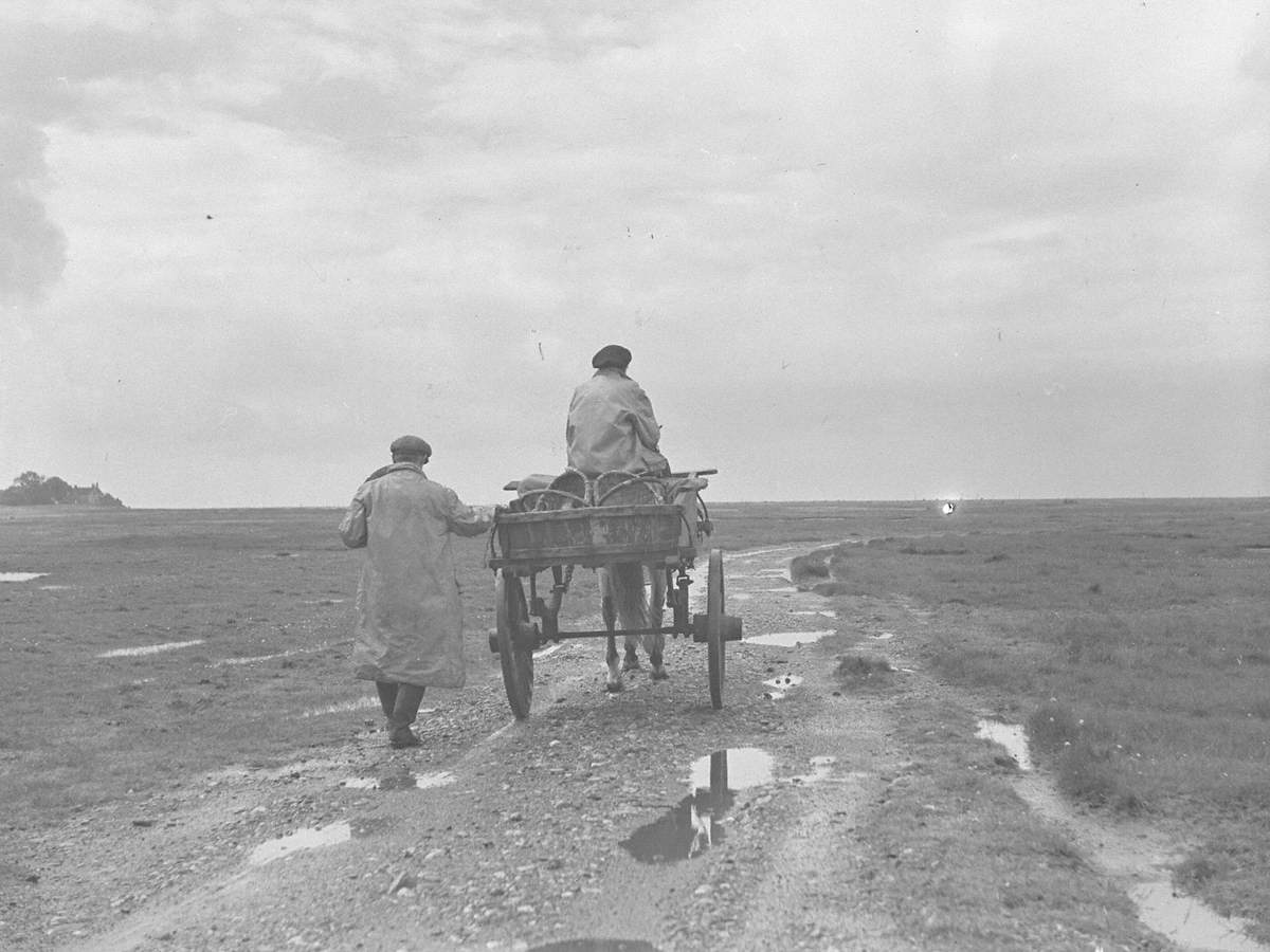 Cockling Cart and Baskets