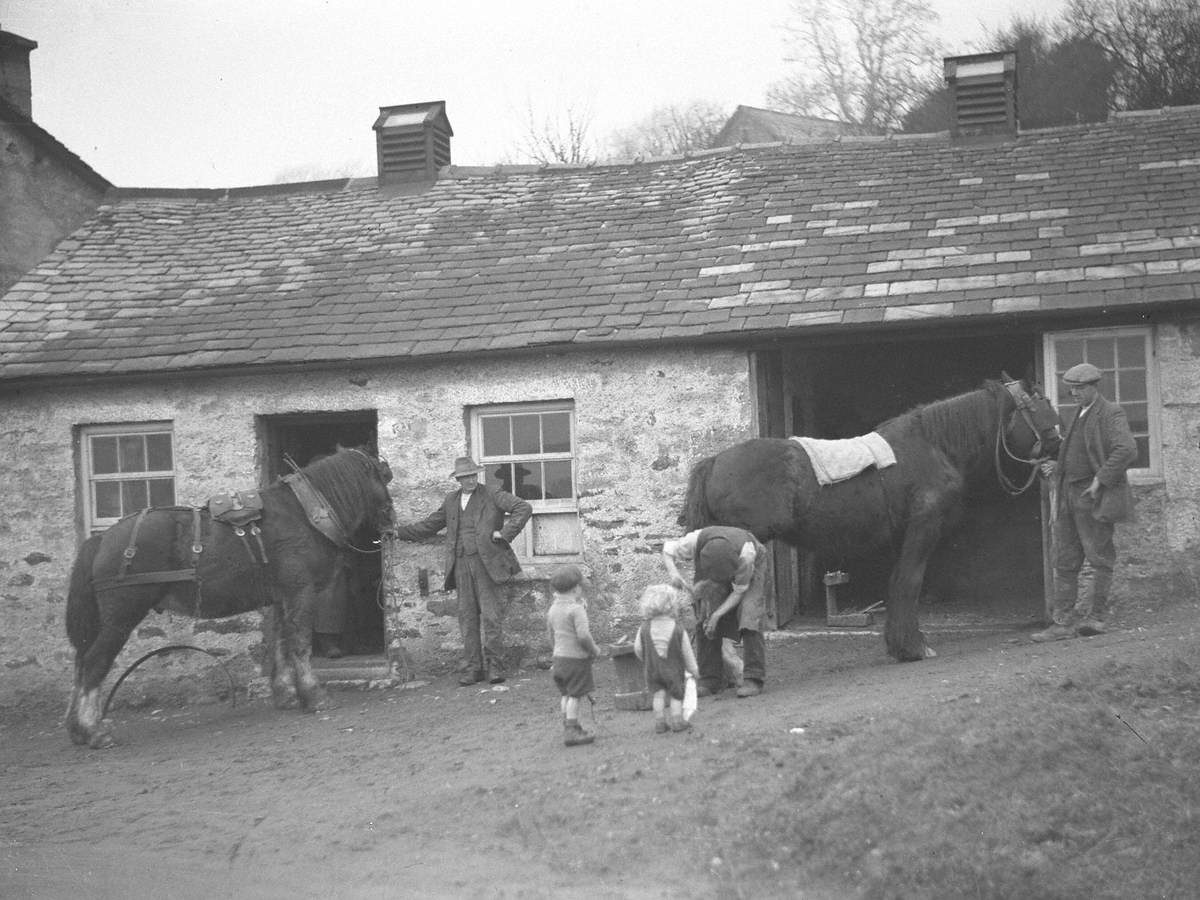 Farrier