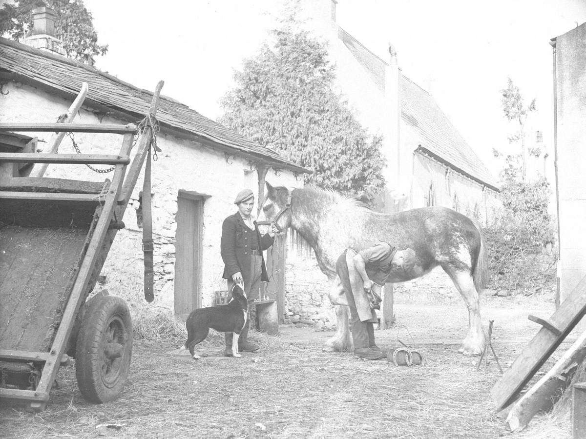 Farrier at Work