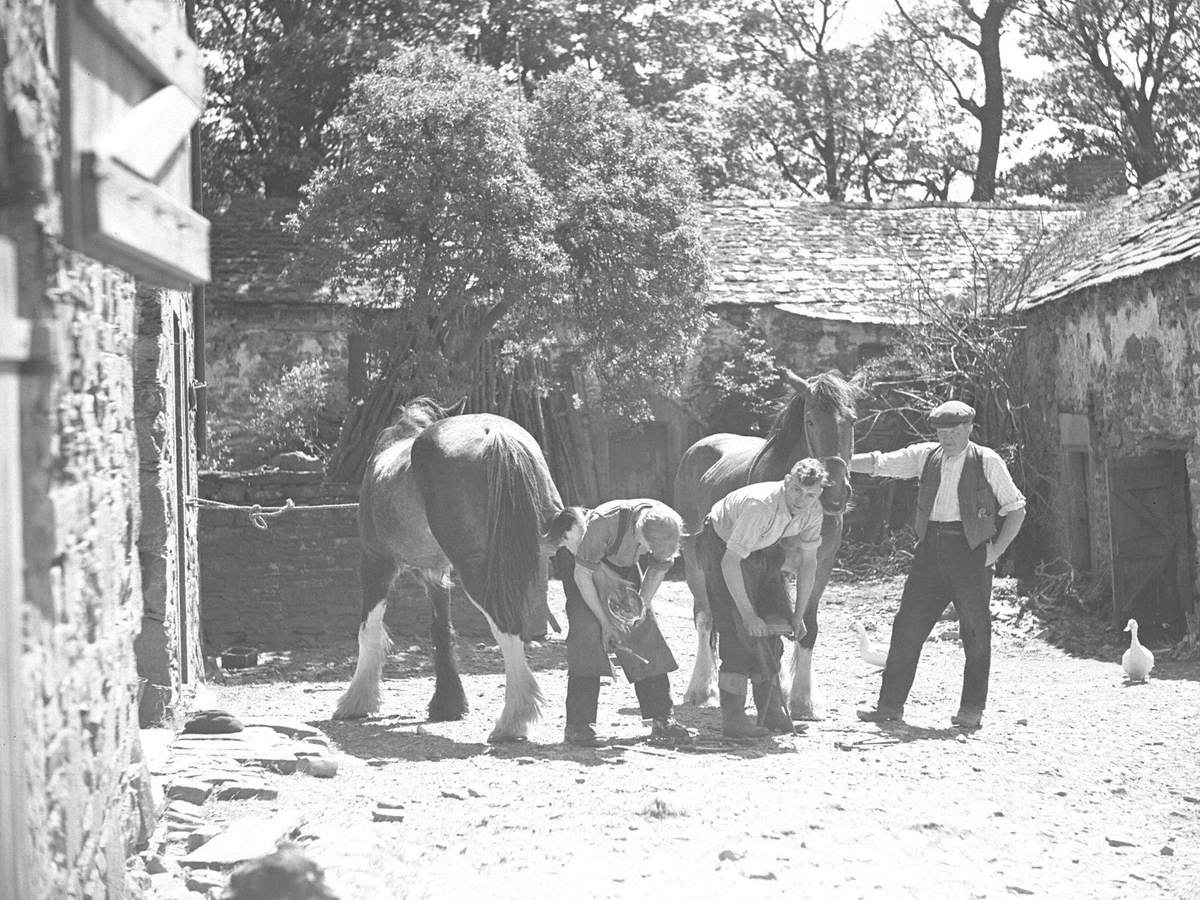 Farrier at Work